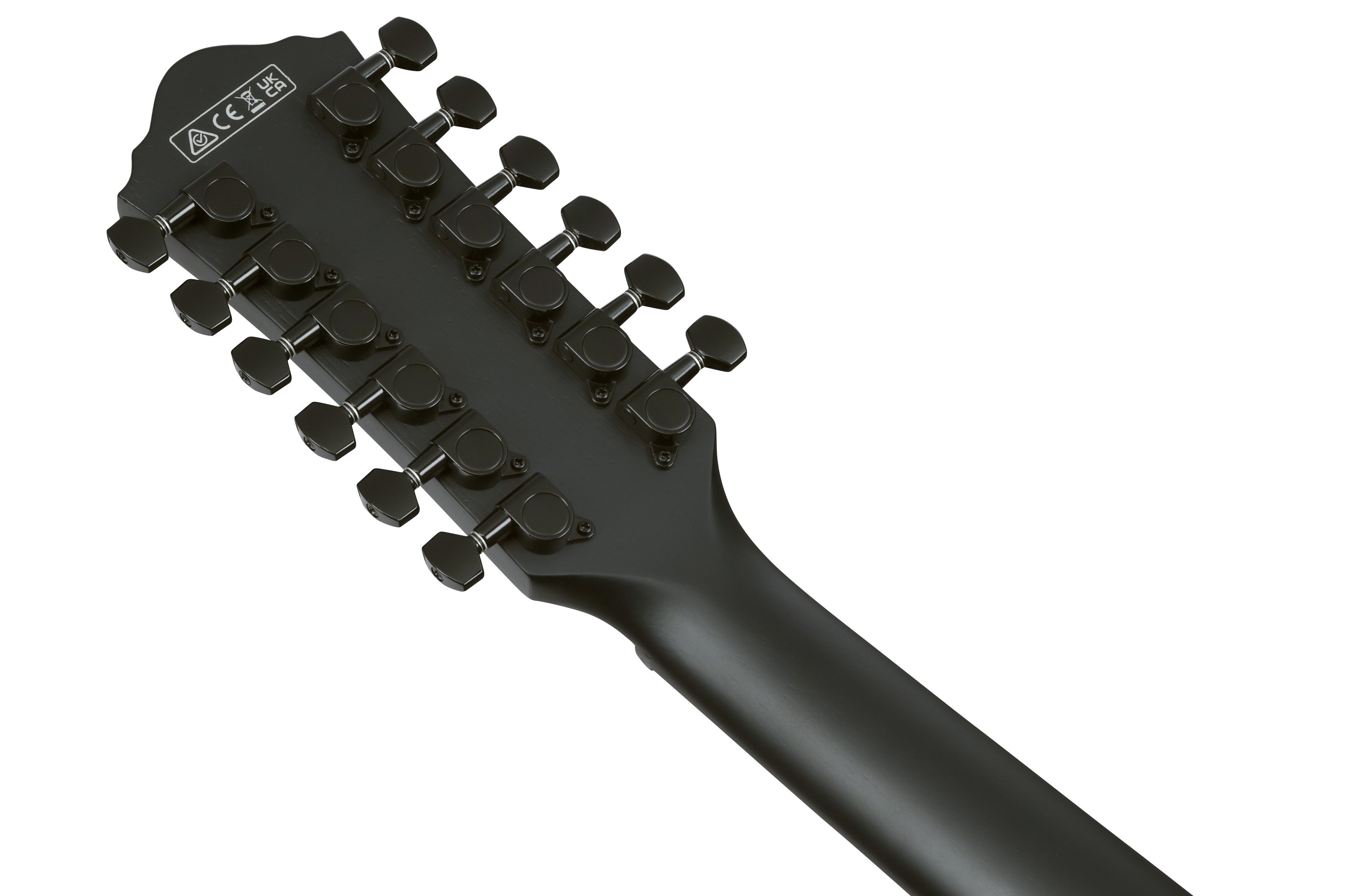 AEG1221-BOT 12-Saiter Westerngitarre